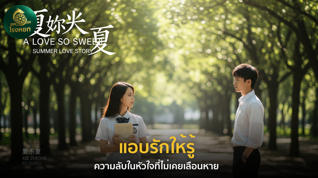 แอบรักให้รู้ – ความลับในหัวใจที่ไม่เคยเลือนหาย