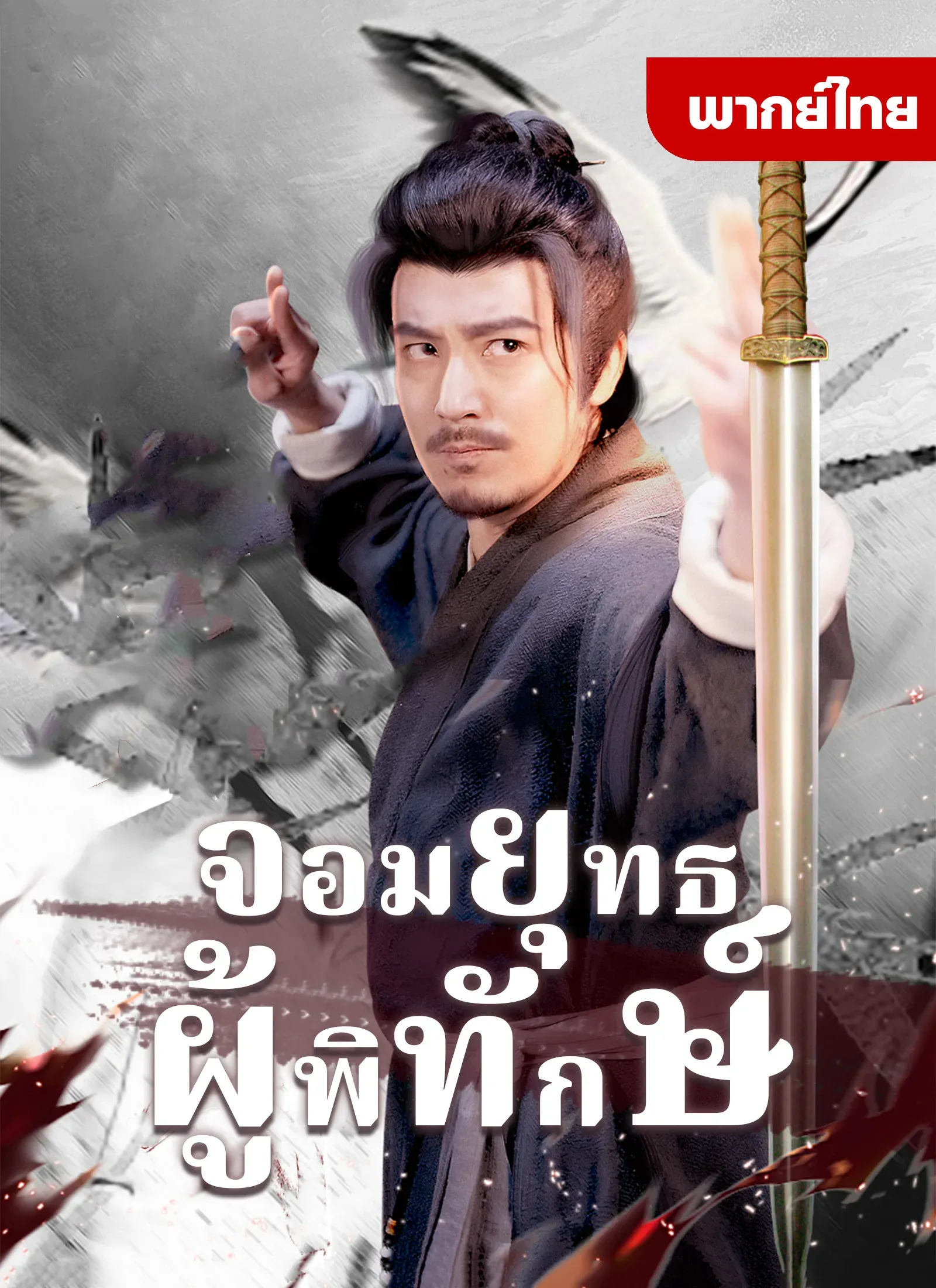 โปสเตอร์ซีรีส์ จอมยุทธ์ผู้พิทักษ์ - ดูซีรีส์จีนออนไลน์ฟรี