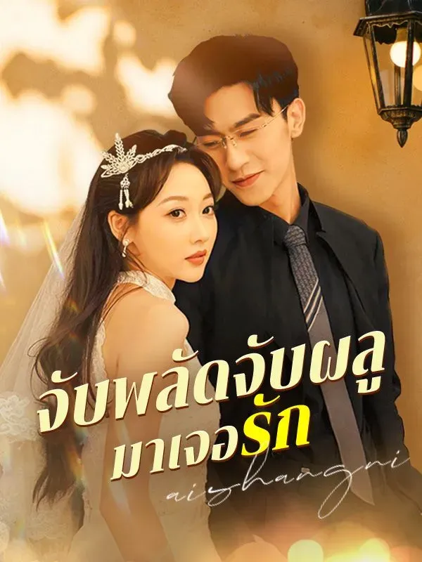 โปสเตอร์ซีรีส์ จับพลัดจับผลูมาเจอรัก - ดูซีรีส์จีนออนไลน์ฟรี