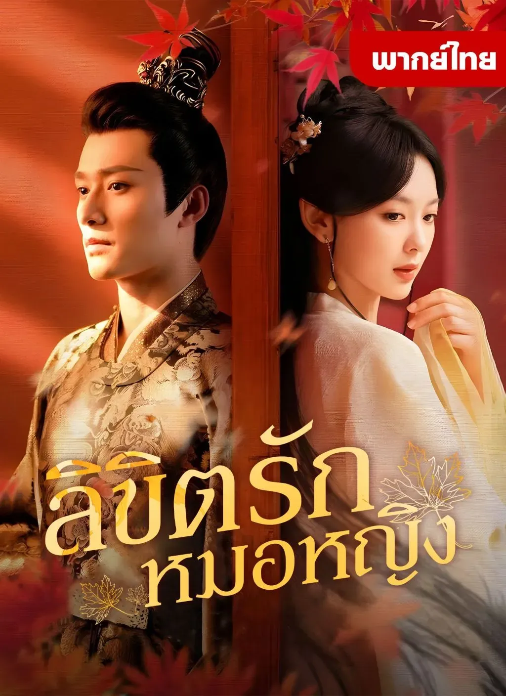 โปสเตอร์ซีรีส์ ลิขิตรักหมอหญิง - ดูซีรีส์จีนออนไลน์ฟรี